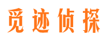 岳塘市婚姻调查